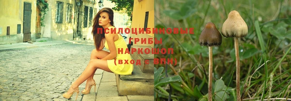 Альфа ПВП Елабуга